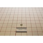 COIN GLIDE