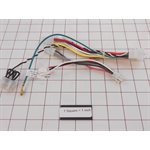 ASSY,WIRING HARNESS-MICRO