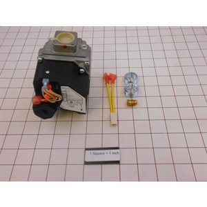 NATURAL GAS VALVE