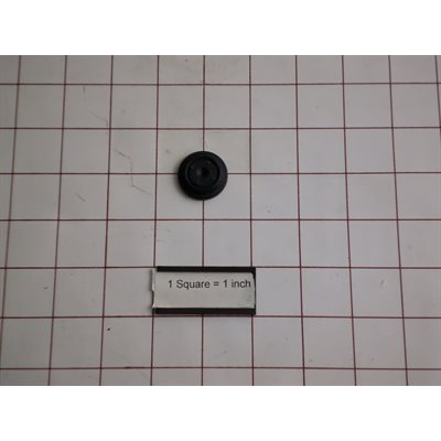 DIAPHRAGM