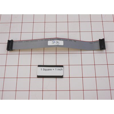 CABLE,FLT RIB,8",16CNDTR,2DTP