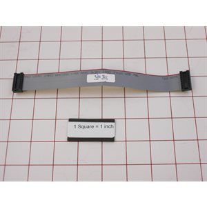CABLE,FLT RIB,8",16CNDTR,2DTP