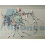 ASSY,HARNESS,*C-MD2,MAIN,-1