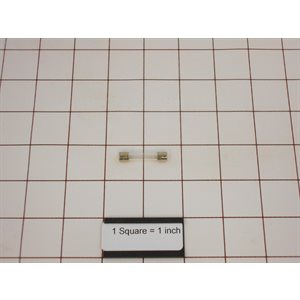 FUSE,2A,FAST,.25X1.25,10KA