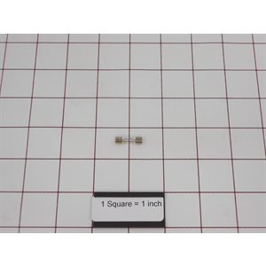 FUSE,2A,FAST,5X20MM,35A