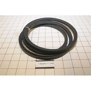 BELT SPA 1657