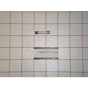 FUSE SPT 1 A