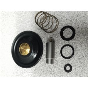 KIT VALVE EV220A G12 TO REPAIR VALVE G333708 "042U1003"