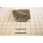 CHAIN,ROLLER #41-48*REPLACES P / N M401425*