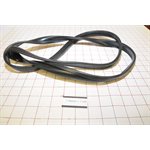 GASKET,DOOR RING ***